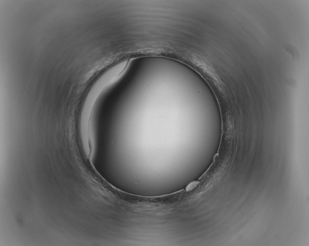 X0000114020681200910161757