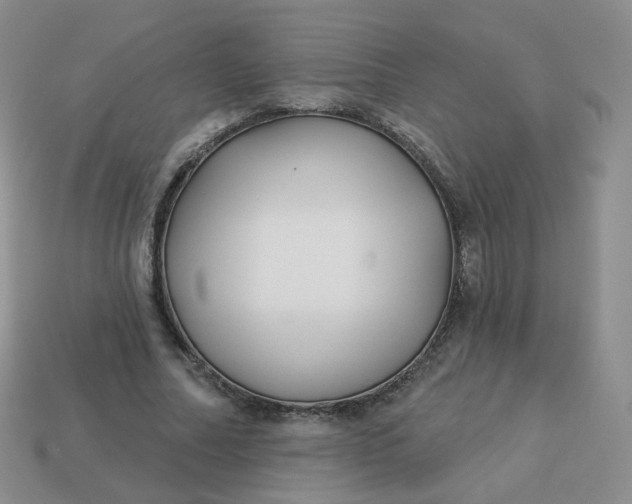 X0000114020682200910161757