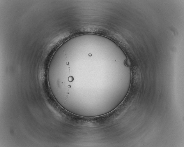 X0000114020683200910161757