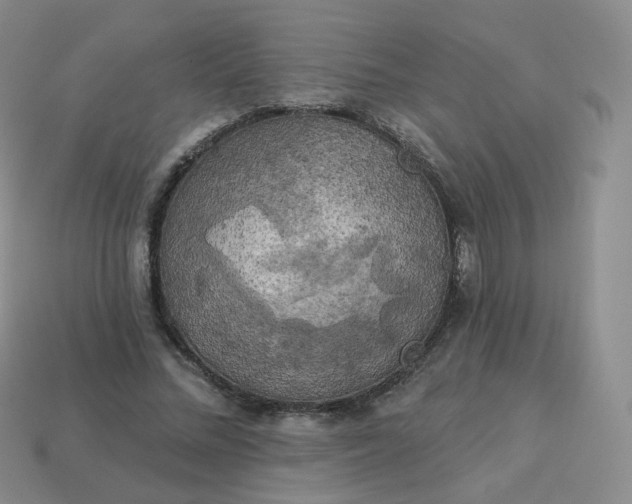 X0000114020684200910161757