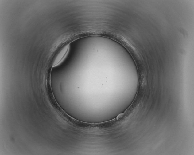 X0000114020685200910161757