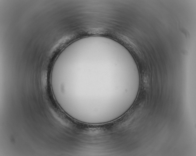 X0000114020686200910161757