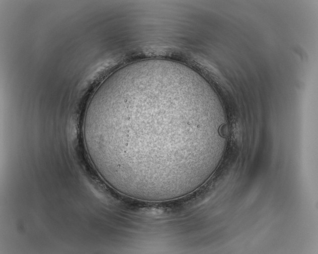 X0000114020687200910161757