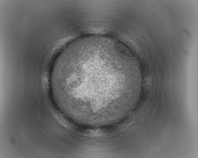 X0000114020688200910161757