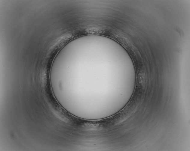 X0000114020690200910161757