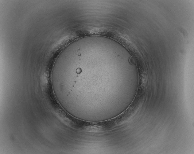 X0000114020691200910161757