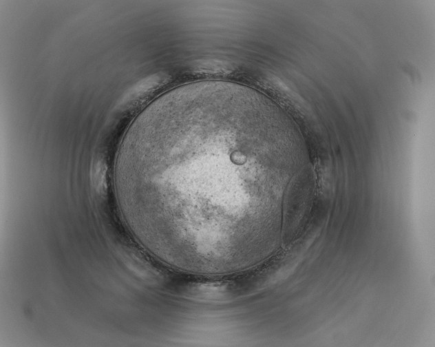 X0000114020692200910161757