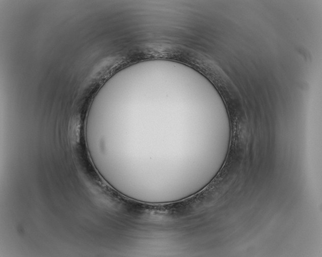 X0000114020694200910161757