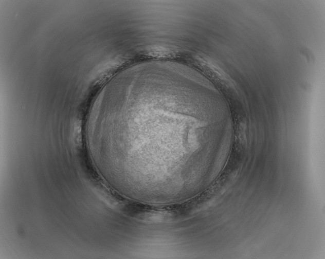 X0000114020696200910161757