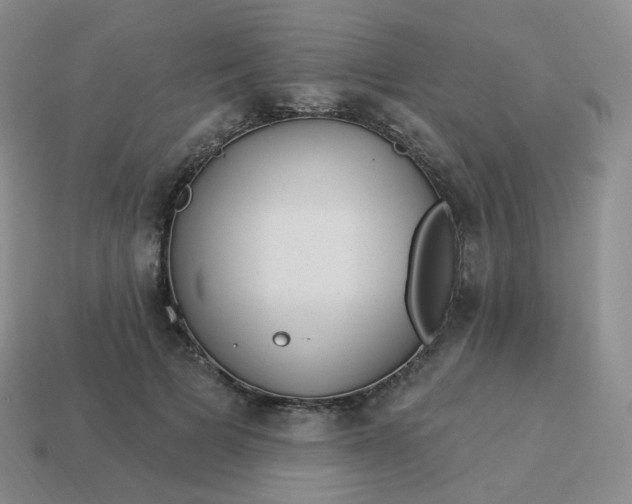 X0000114020697200910161757