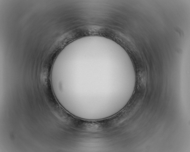 X0000114020698200910161757