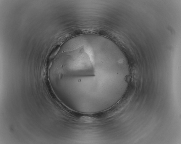 X0000114020699200910161757