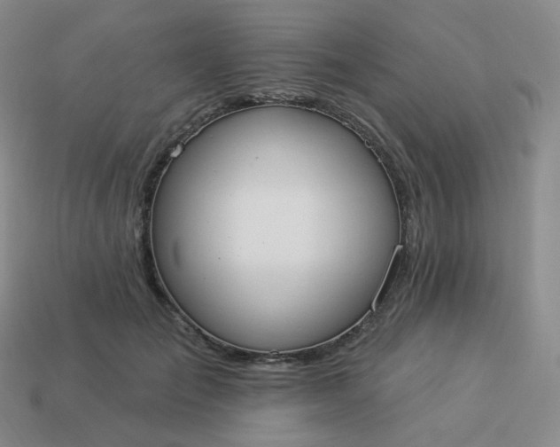 X0000114020701200910161757