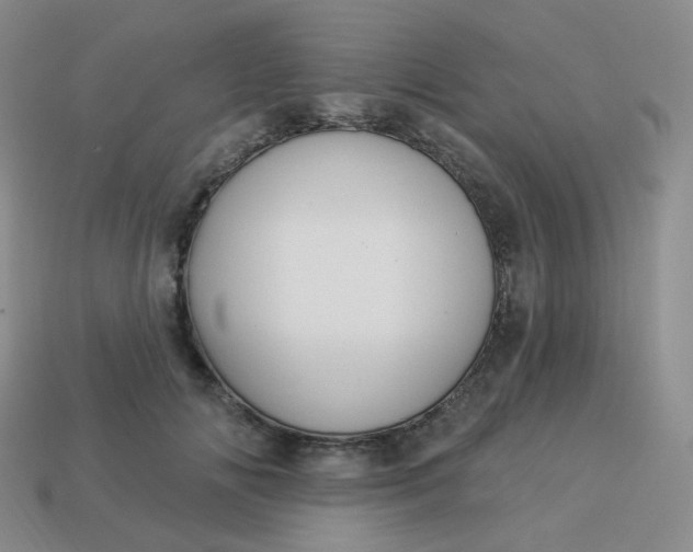 X0000114020702200910161757