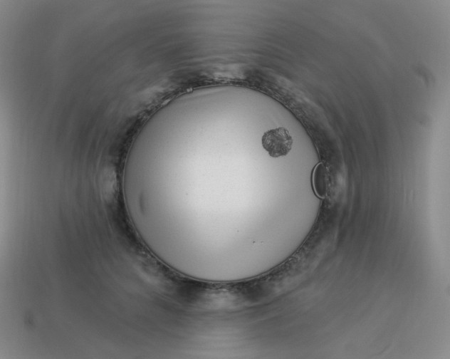 X0000114020704200910161757