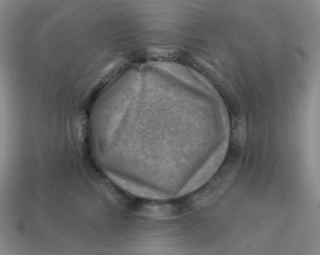 X0000114020712200910161757