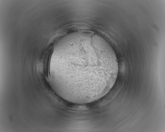 X0000114020715200910161756