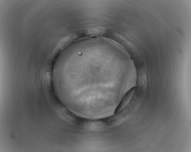 X0000114020716200910161756