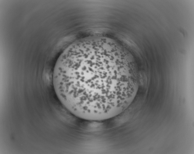 X0000114020718200910161756