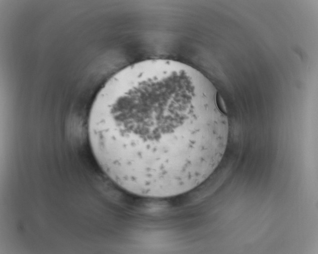 X0000114020719200910161756