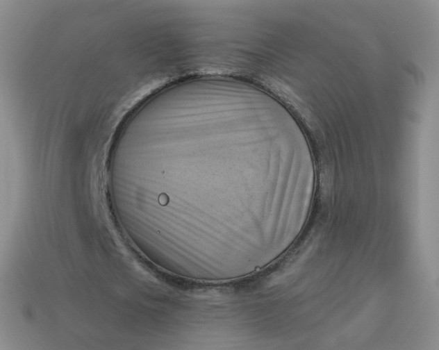 X0000114020721200910161756