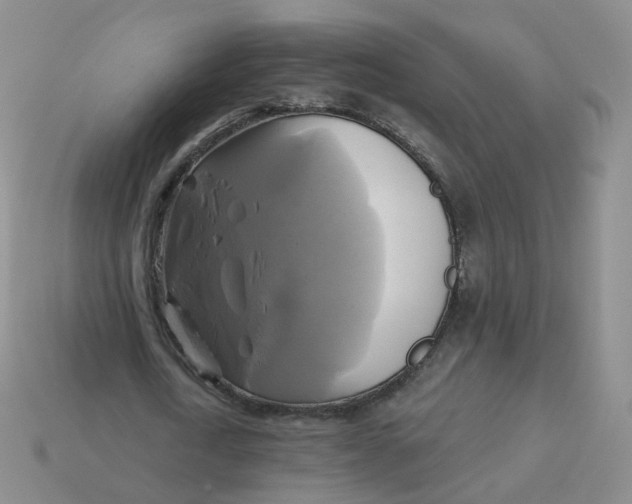 X0000114020722200910161756