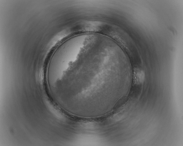 X0000114020726200910161756