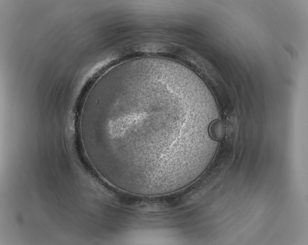 X0000114020727200910161756