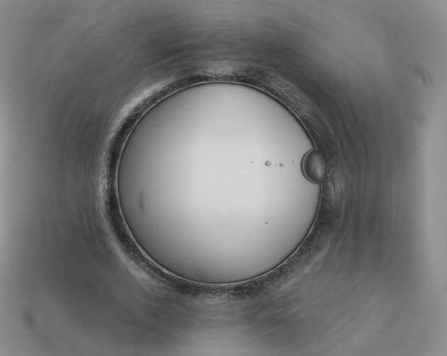 X0000114020728200910161756