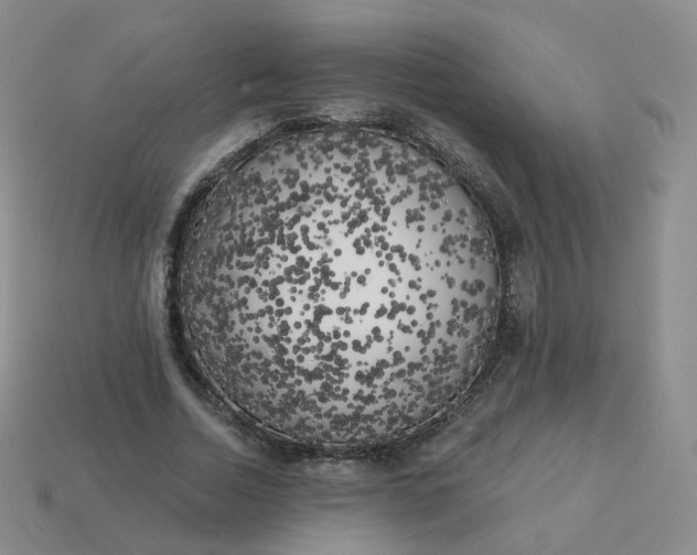 X0000114020730200910161756