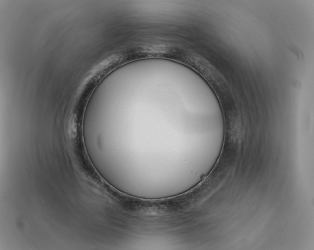 X0000114020731200910161756