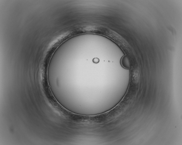 X0000114020732200910161756