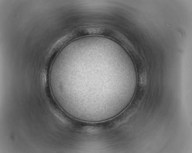 X0000114020733200910161756