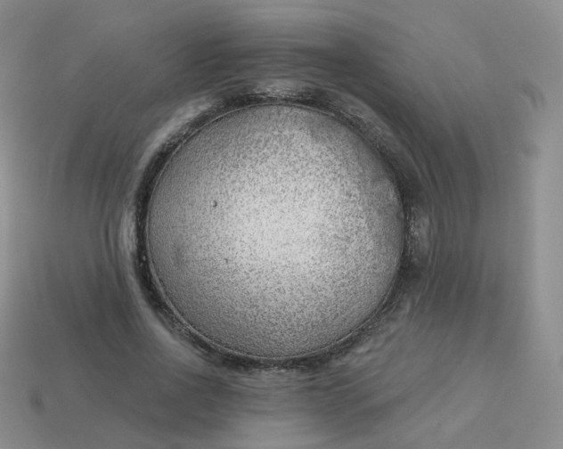 X0000114020734200910161756