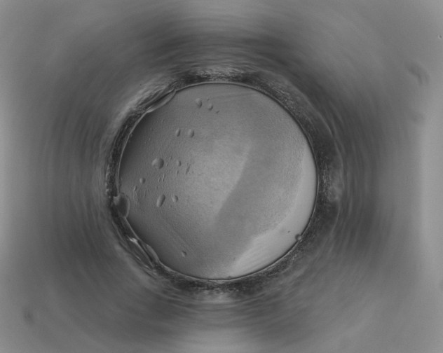 X0000114020735200910161756