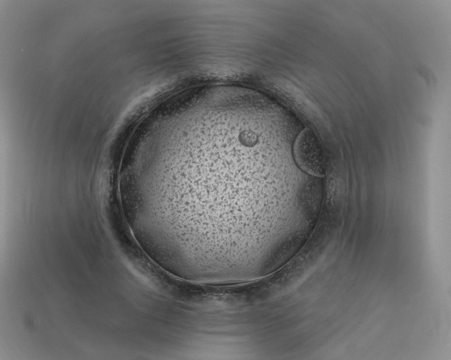 X0000114020736200910161756