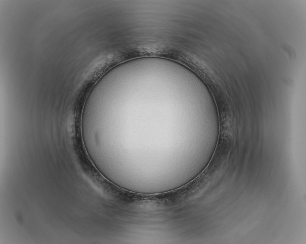 X0000114020738200910161756