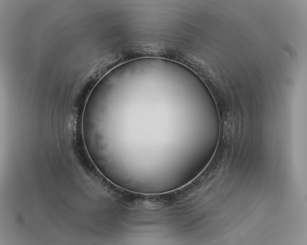 X0000114020739200910161756