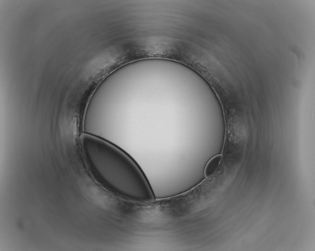 X0000114020740200910161756