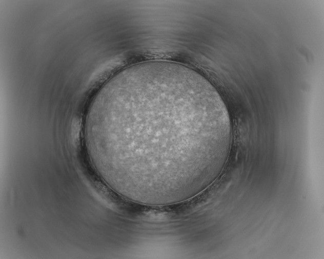 X0000114020742200910161756