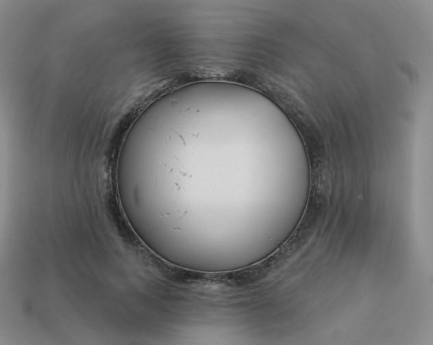 X0000114020743200910161756