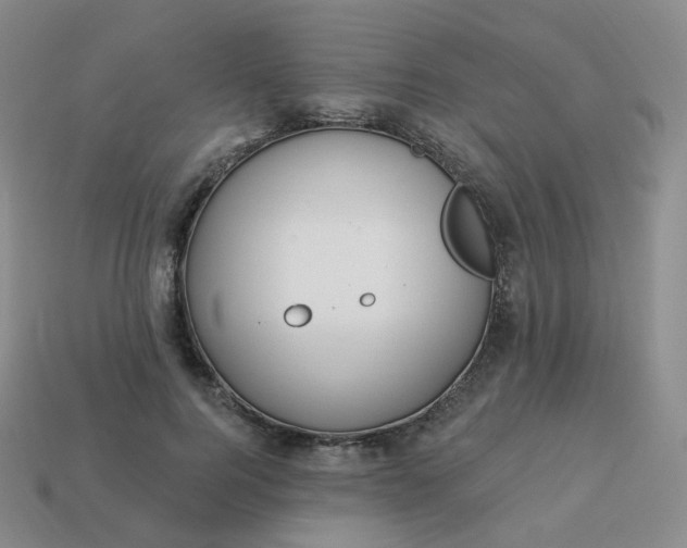 X0000114020744200910161756