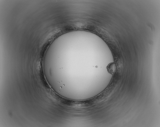 X0000114020746200910161756