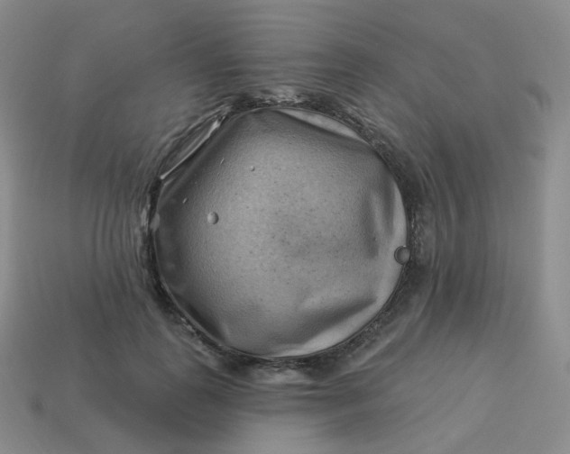 X0000114020747200910161756