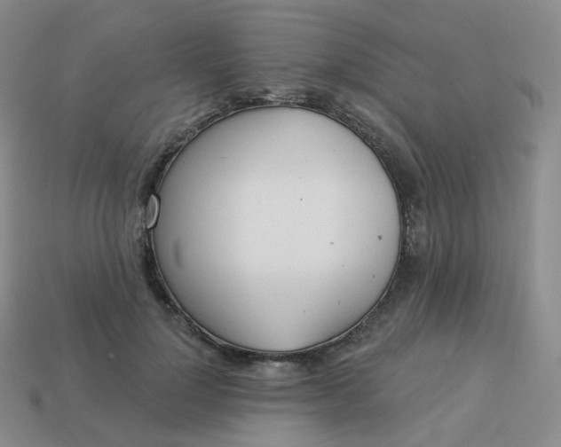 X0000114020748200910161756