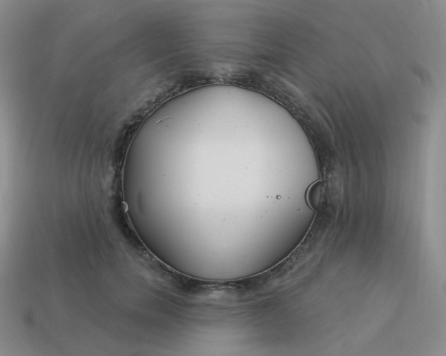 X0000114020750200910161756