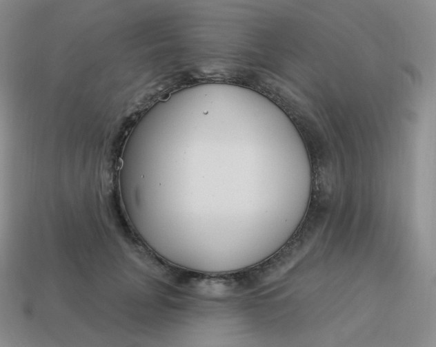 X0000114020751200910161756