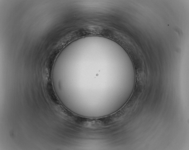 X0000114020752200910161756