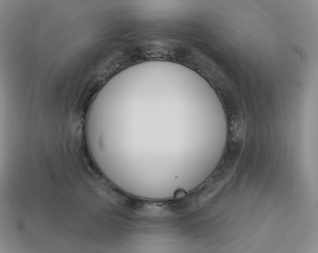 X0000114020753200910161756