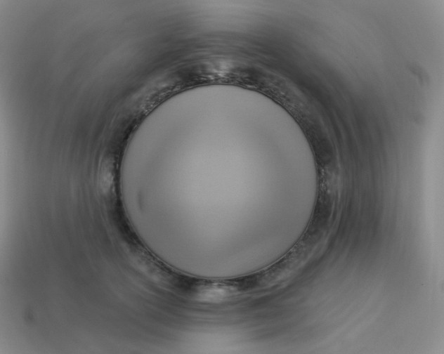 X0000114020754200910161756